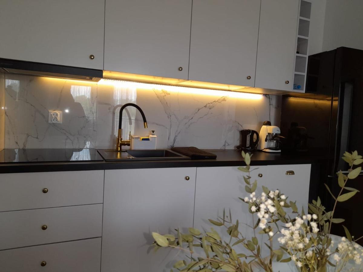 Apartment Debowa